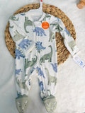 Dinosaur Carter's overall